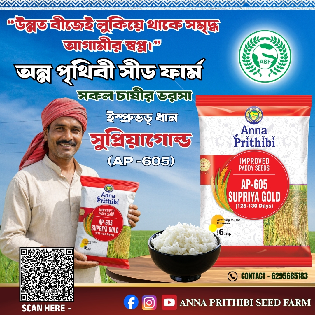 SUPRIYA GOLD (AP-605)
