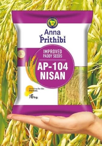 Paddy Seeds - Premium Variety