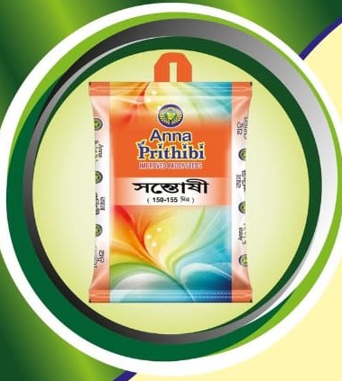 Hybrid Paddy Seeds